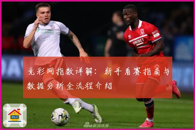 竞彩网指数详解：新手看赛指南与数据分析全流程介绍
