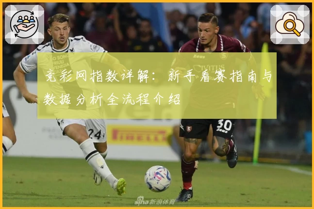 竞彩网指数详解：新手看赛指南与数据分析全流程介绍
