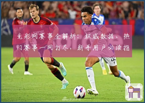 竞彩网赛事全解析:权威数据、热门赛事一网打尽,新手用户必读指南